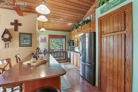 Tiny photo for 381 Saddleback Creek Drive, Florissant, CO 80816 (MLS # 1405157)