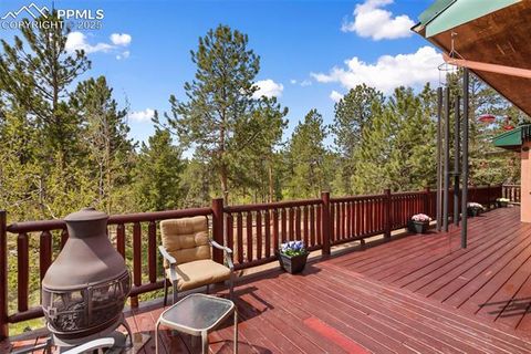 Tiny photo for 381 Saddleback Creek Drive, Florissant, CO 80816 (MLS # 1405157)