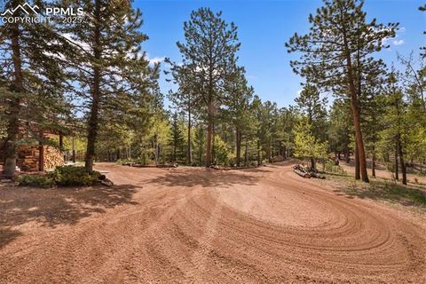 Tiny photo for 381 Saddleback Creek Drive, Florissant, CO 80816 (MLS # 1405157)