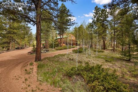 Tiny photo for 381 Saddleback Creek Drive, Florissant, CO 80816 (MLS # 1405157)