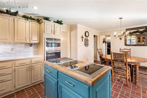 Tiny photo for 231 S Forty Road, Woodland Park, CO 80863 (MLS # 6919592)