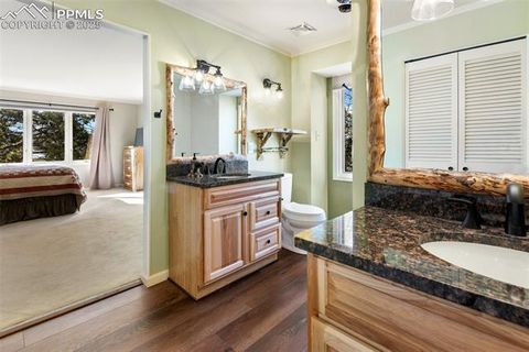 Tiny photo for 231 S Forty Road, Woodland Park, CO 80863 (MLS # 6919592)
