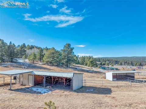 Tiny photo for 231 S Forty Road, Woodland Park, CO 80863 (MLS # 6919592)