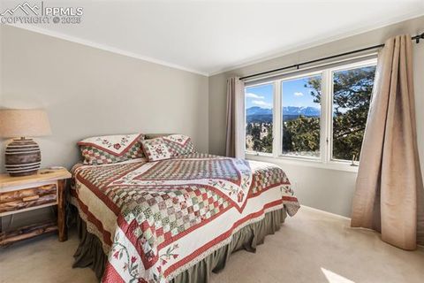 Tiny photo for 231 S Forty Road, Woodland Park, CO 80863 (MLS # 6919592)