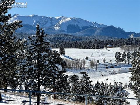 Tiny photo for 231 S Forty Road, Woodland Park, CO 80863 (MLS # 6919592)