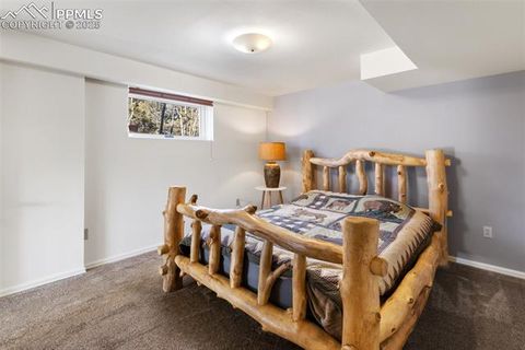 Tiny photo for 231 S Forty Road, Woodland Park, CO 80863 (MLS # 6919592)