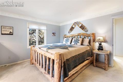 Tiny photo for 231 S Forty Road, Woodland Park, CO 80863 (MLS # 6919592)