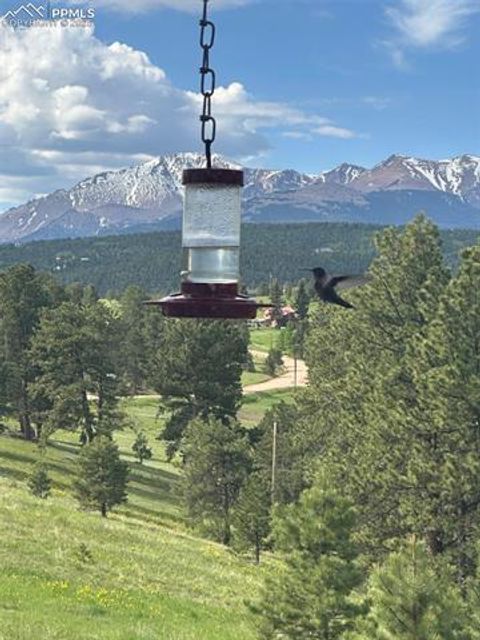 Tiny photo for 231 S Forty Road, Woodland Park, CO 80863 (MLS # 6919592)