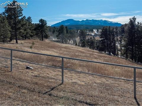 Tiny photo for 231 S Forty Road, Woodland Park, CO 80863 (MLS # 6919592)