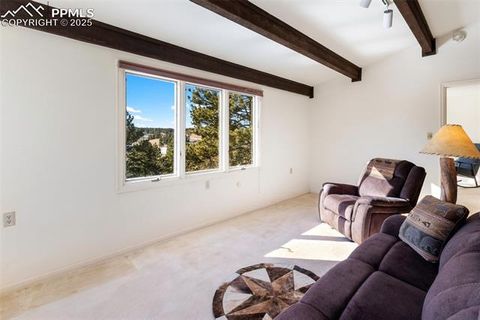 Tiny photo for 231 S Forty Road, Woodland Park, CO 80863 (MLS # 6919592)