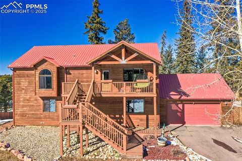 Tiny photo for 350 Panther Court, Woodland Park, CO 80863 (MLS # 9136433)