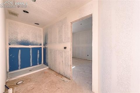 Tiny photo for 205 W Henrietta Avenue, Woodland Park, CO 80863 (MLS # 5348817)