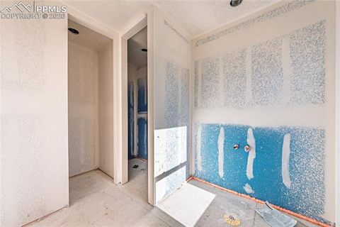 Tiny photo for 205 W Henrietta Avenue, Woodland Park, CO 80863 (MLS # 5348817)