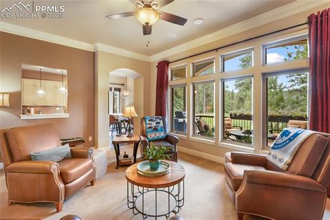 Tiny photo for 1484 Masters Drive, Woodland Park, CO 80863 (MLS # 8676256)