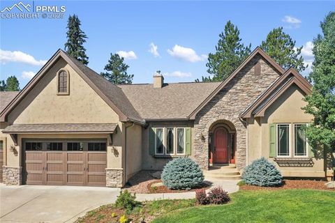 Tiny photo for 1484 Masters Drive, Woodland Park, CO 80863 (MLS # 8676256)