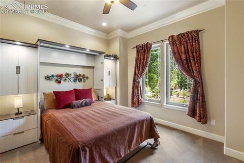 Tiny photo for 1484 Masters Drive, Woodland Park, CO 80863 (MLS # 8676256)