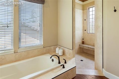Tiny photo for 1484 Masters Drive, Woodland Park, CO 80863 (MLS # 8676256)