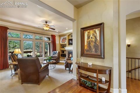 Tiny photo for 1484 Masters Drive, Woodland Park, CO 80863 (MLS # 8676256)