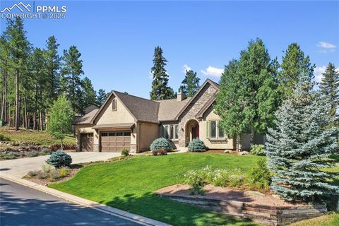Tiny photo for 1484 Masters Drive, Woodland Park, CO 80863 (MLS # 8676256)