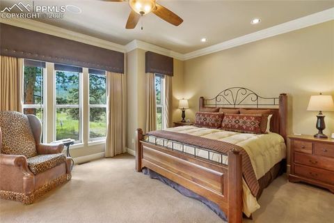 Tiny photo for 1484 Masters Drive, Woodland Park, CO 80863 (MLS # 8676256)