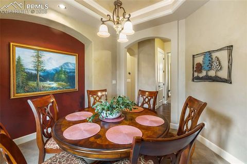 Tiny photo for 1484 Masters Drive, Woodland Park, CO 80863 (MLS # 8676256)