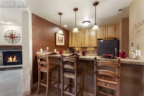 Tiny photo for 1484 Masters Drive, Woodland Park, CO 80863 (MLS # 8676256)
