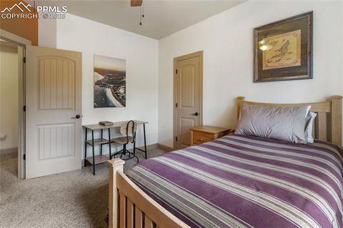 Tiny photo for 1484 Masters Drive, Woodland Park, CO 80863 (MLS # 8676256)