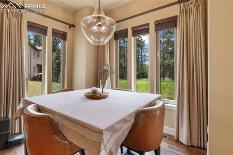 Tiny photo for 1484 Masters Drive, Woodland Park, CO 80863 (MLS # 8676256)