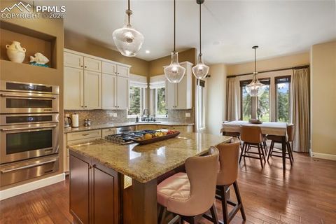 Tiny photo for 1484 Masters Drive, Woodland Park, CO 80863 (MLS # 8676256)