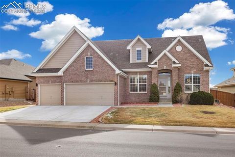 1164 Hondo Court Castle Rock CO 80104