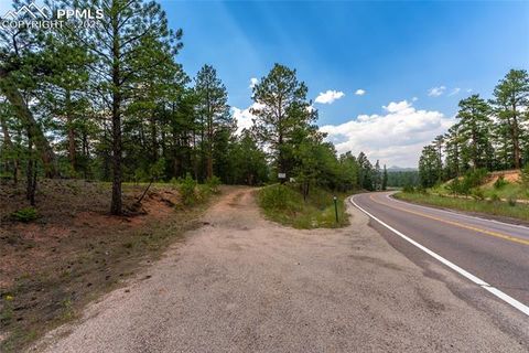 Photo of 29507 Highway 67, Woodland Park, CO 80863 (MLS # 6635794) Photo of 29507 Highway 67, Woodland Park, CO 80863 (MLS # 6635794)