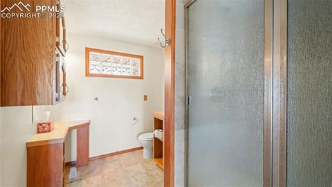 Tiny photo for 300 Piney Point Lane, Woodland Park, CO 80863 (MLS # 8702060)