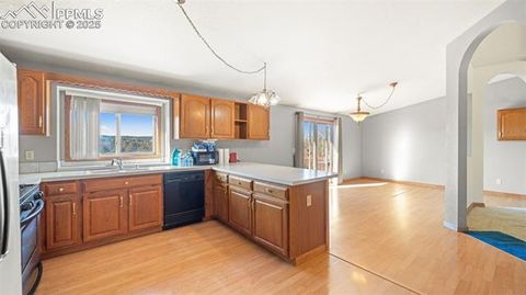 Tiny photo for 300 Piney Point Lane, Woodland Park, CO 80863 (MLS # 8702060)