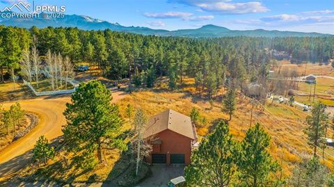 Tiny photo for 300 Piney Point Lane, Woodland Park, CO 80863 (MLS # 8702060)