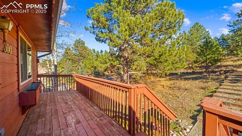 Tiny photo for 300 Piney Point Lane, Woodland Park, CO 80863 (MLS # 8702060)