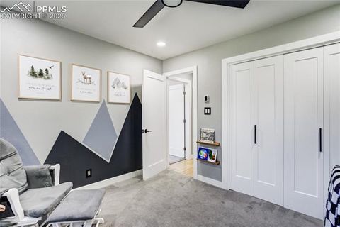 Tiny photo for 204 Mitchell Avenue, Monument, CO 80132 (MLS # 7975150)