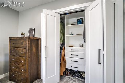 Tiny photo for 204 Mitchell Avenue, Monument, CO 80132 (MLS # 7975150)