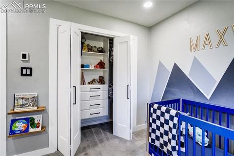 Tiny photo for 204 Mitchell Avenue, Monument, CO 80132 (MLS # 7975150)