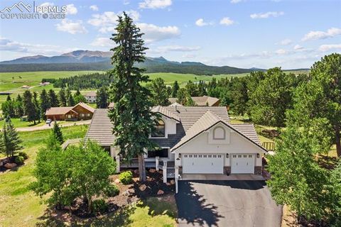 Photo of 133 Matthew Road, Divide, CO 80814 (MLS # 9165262)