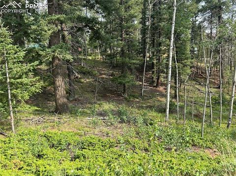 Photo of 127 Rampart Circle, Florissant, CO 80816 (MLS # 9793929)