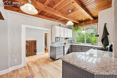 Tiny photo for 4440 Heizer Street, Cascade, CO 80809 (MLS # 5486971)