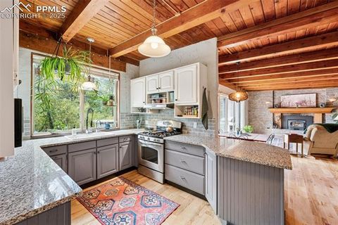 Tiny photo for 4440 Heizer Street, Cascade, CO 80809 (MLS # 5486971)