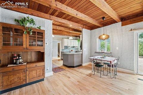 Tiny photo for 4440 Heizer Street, Cascade, CO 80809 (MLS # 5486971)