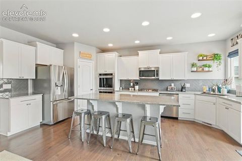 Tiny photo for 9983 Henman Terrace, Peyton, CO 80831 (MLS # 4279614)