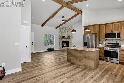 Tiny photo for 2627 Pikes Peak Drive, Florissant, CO 80816 (MLS # 9450063)