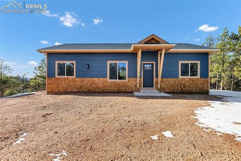 Photo of 2627 Pikes Peak Drive, Florissant, CO 80816 (MLS # 9450063)