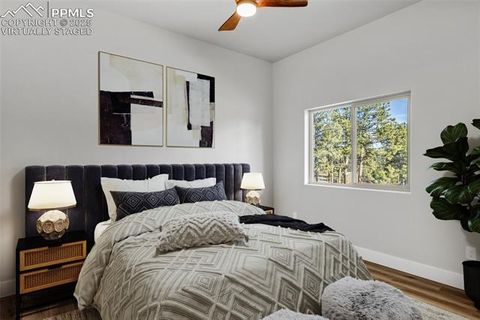 Tiny photo for 2627 Pikes Peak Drive, Florissant, CO 80816 (MLS # 9450063)