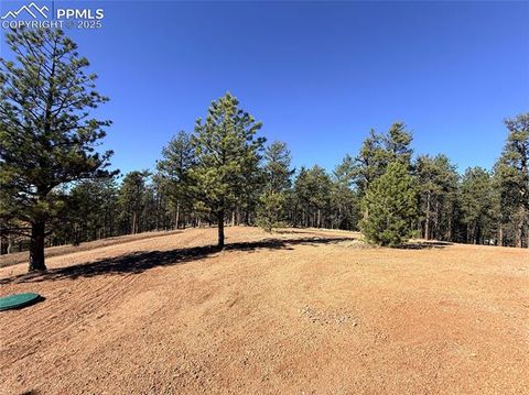 Tiny photo for 2627 Pikes Peak Drive, Florissant, CO 80816 (MLS # 9450063)