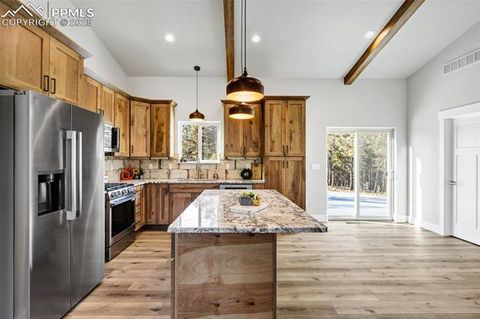 Tiny photo for 2627 Pikes Peak Drive, Florissant, CO 80816 (MLS # 9450063)