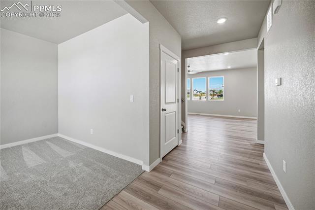 9247 Golden Buffs Drive
